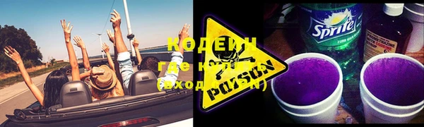 стаф Богданович