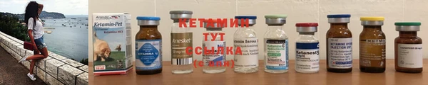 стаф Богданович