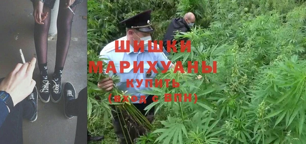 соль ск Белокуриха