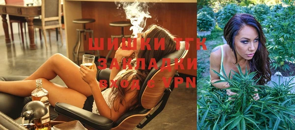стаф Богданович