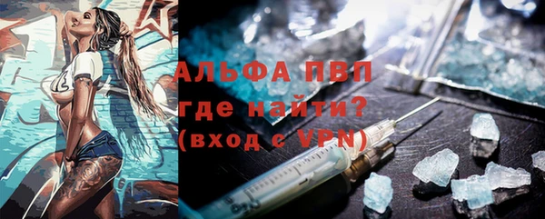 стаф Богданович