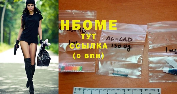 стаф Богданович