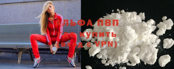 стаф Богданович