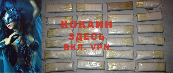 стаф Богданович
