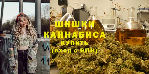 соль ск Белокуриха