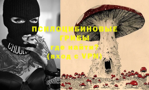соль ск Белокуриха