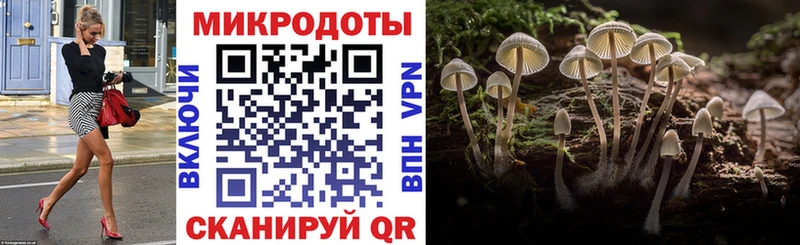 Галлюциногенные грибы Cubensis  где продают   Верхняя Тура 